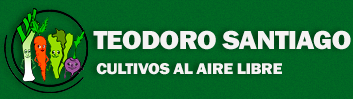 Inicio